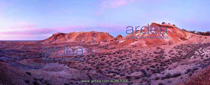 : Arckaringa Hills / Painted Desert - North of Coober : Arckaringa Hills / Painted Desert - North of Coober