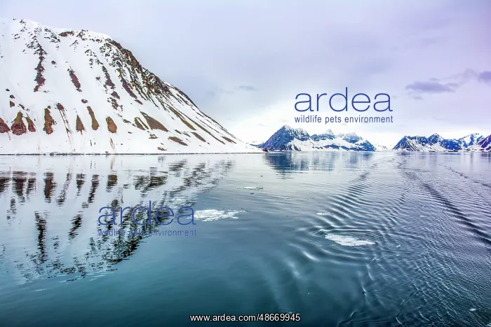 : Arctic Ocean, Svalbard Islands, Norway. Landscape view of : Arctic Ocean, Svalbard Islands, Norway. Landscape view of