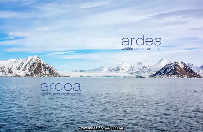 : Arctic Ocean, Svalbard Islands, Norway. Wide angle landscape : Arctic Ocean, Svalbard Islands, Norway. Wide angle landscape