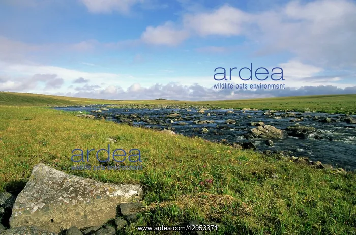 : Arctic tundra : Arctic tundra