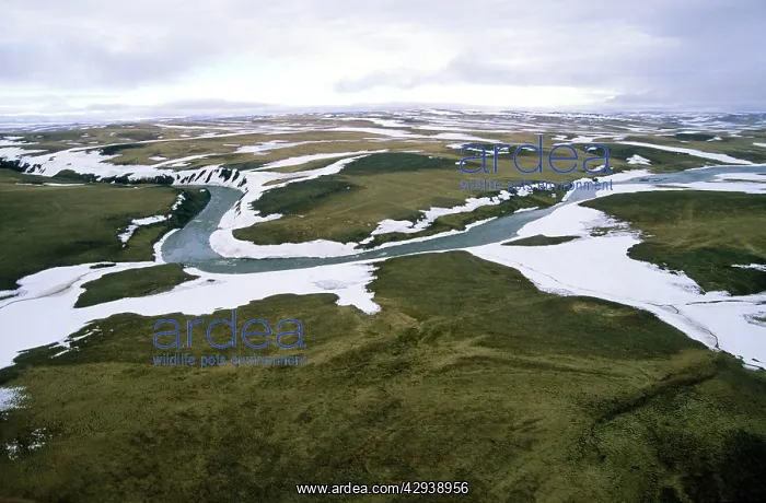 : Arctic tundra - aerial view from a helicopter : Arctic tundra - aerial view from a helicopter