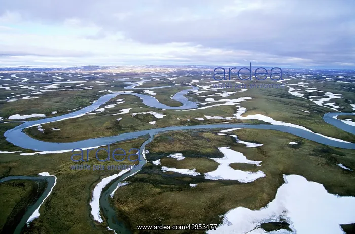 : Arctic tundra in spring - an aerial view from a helicopter : Arctic tundra in spring - an aerial view from a helicopter