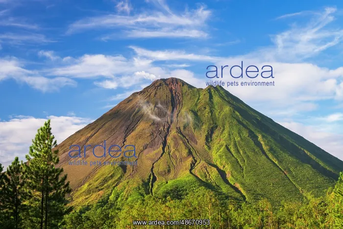: Arenal Volcano, Arenal Volcano National Park, Alajuela : Arenal Volcano, Arenal Volcano National Park, Alajuela