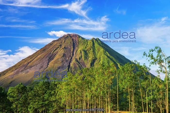  : Arenal Volcano, Arenal Volcano National Park, Alajuela
