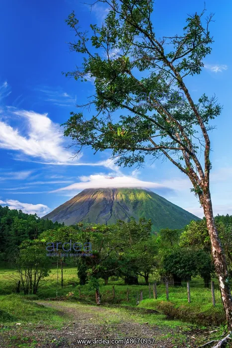 : Arenal Volcano, Arenal Volcano National Park, Alajuela : Arenal Volcano, Arenal Volcano National Park, Alajuela