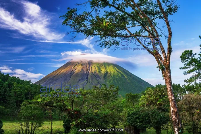 : Arenal Volcano, Arenal Volcano National Park, Alajuela : Arenal Volcano, Arenal Volcano National Park, Alajuela