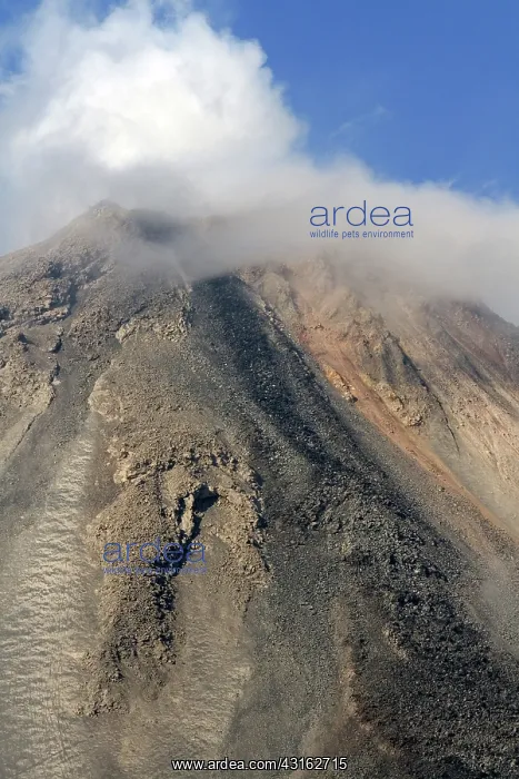 : Arenal Volcano, Costa Rica : Arenal Volcano, Costa Rica