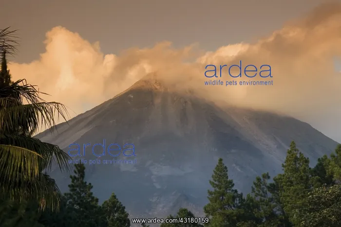 : Arenal Volcano, Costa Rica : Arenal Volcano, Costa Rica
