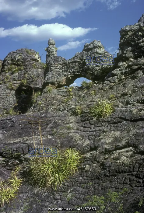 : Arenite Formations : Arenite Formations