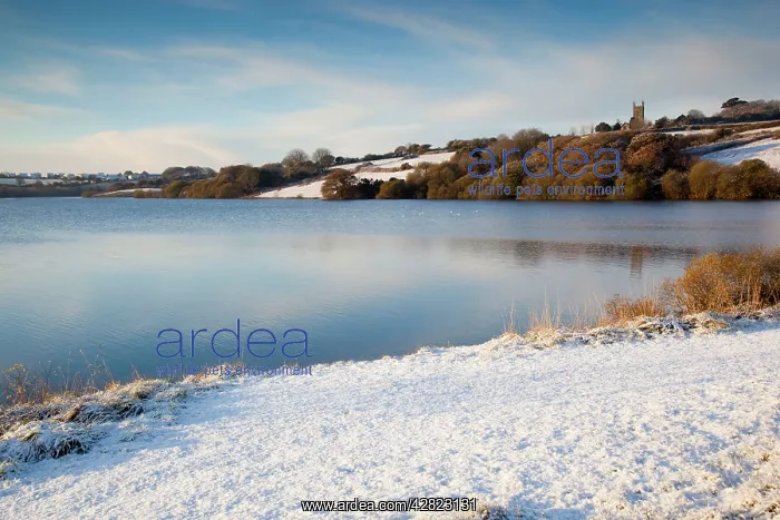 : Argal Reservoir - winter : Argal Reservoir - winter