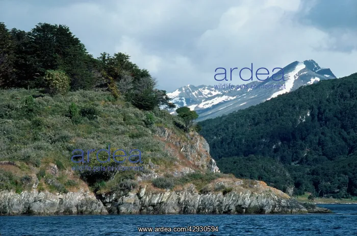 : Argentina - beagle channel : Argentina - beagle channel