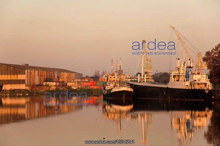 : Argentina, Buenos Aires, La Boca. The working : Argentina, Buenos Aires, La Boca. The working