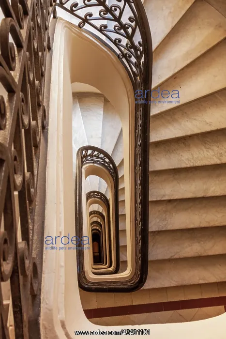 : Argentina, Buenos Aires. Spiral staircase : Argentina, Buenos Aires. Spiral staircase
