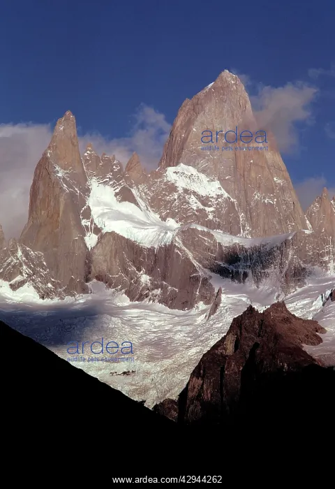 : ARGENTINA - Cerro Fitz-Roy Mountains, Altitude 3441 m : ARGENTINA - Cerro Fitz-Roy Mountains, Altitude 3441 m