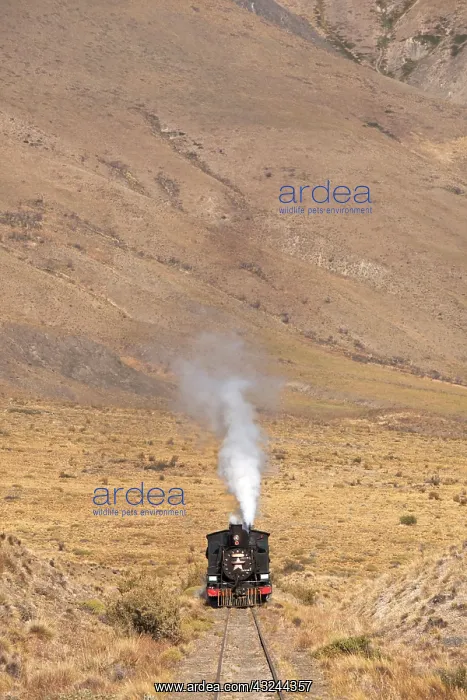 : Argentina, Chubut Province, Esquel. La Trochita : Argentina, Chubut Province, Esquel. La Trochita