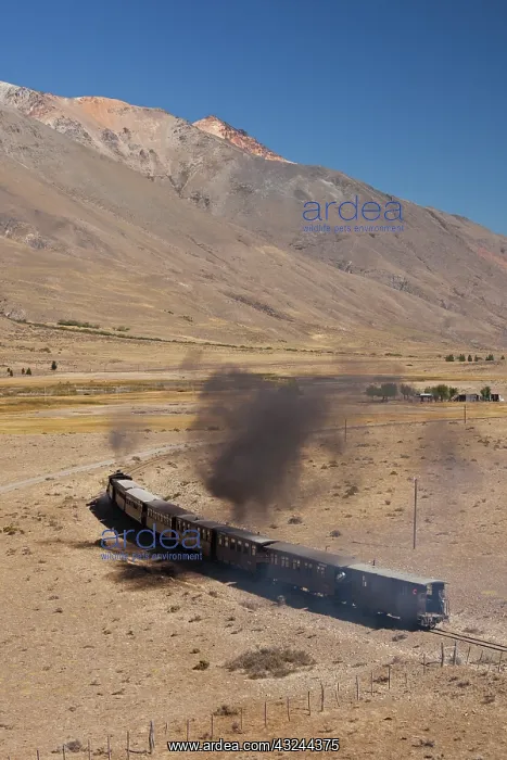  : Argentina, Chubut Province, Esquel. La Trochita
