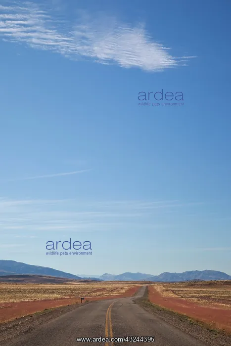: Argentina, Chubut Province. RN 40, central : Argentina, Chubut Province. RN 40, central