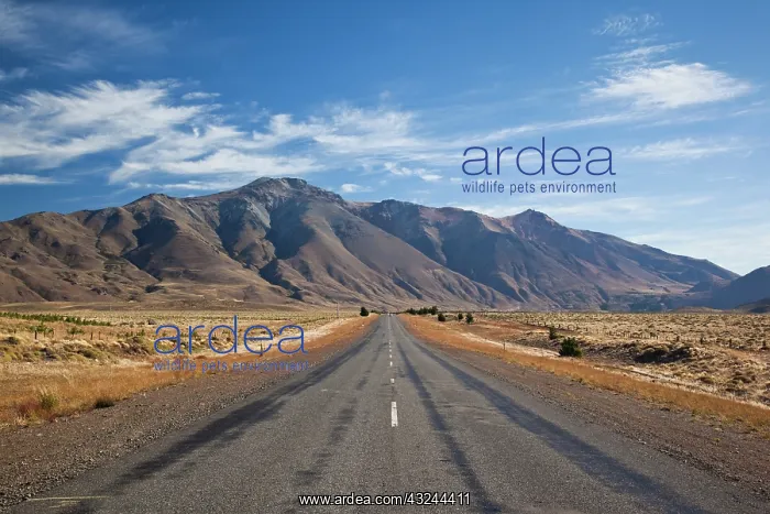 : Argentina, Chubut Province. RN 40, central : Argentina, Chubut Province. RN 40, central