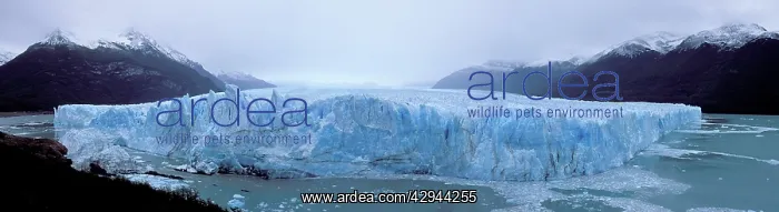 : ARGENTINA - Glaciar Perito Moreno : ARGENTINA - Glaciar Perito Moreno