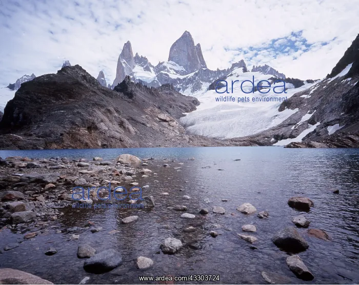  : ARGENTINA - Glacier National Park, Fitz Roy Glacier