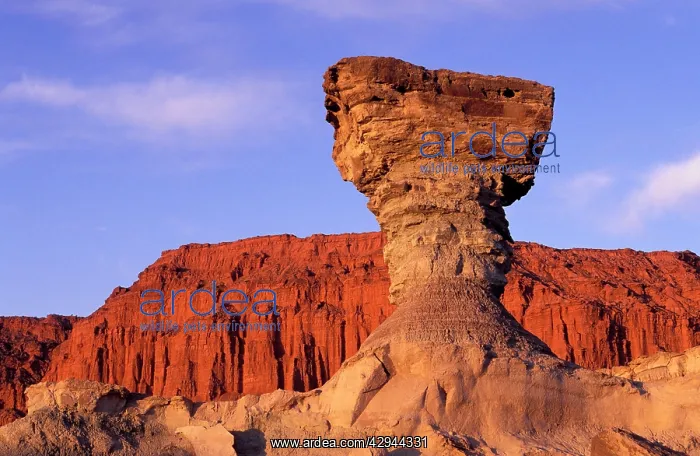 : Argentina - Ischigualasto Formation know as 'The MushroomI : Argentina - Ischigualasto Formation know as 'The MushroomI