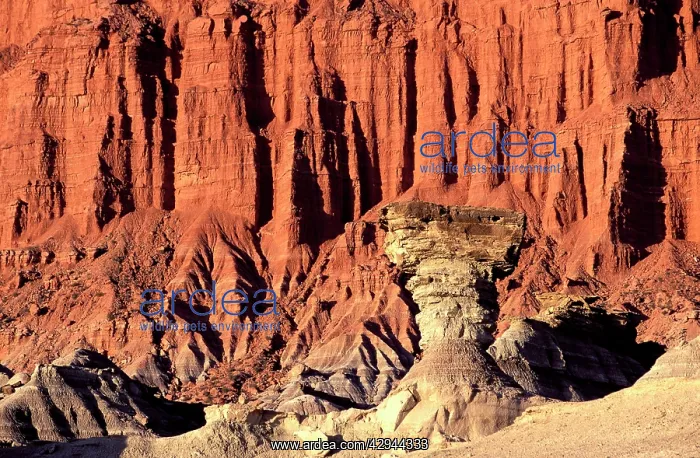 : Argentina - Ischigualasto Formation know as 'The MushroomI : Argentina - Ischigualasto Formation know as 'The MushroomI