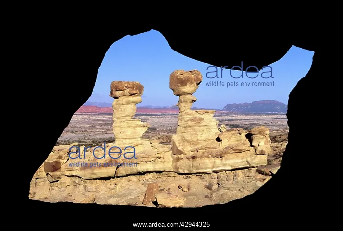 : Argentina - Ischigualasto Formation known as 'The SubmarineI : Argentina - Ischigualasto Formation known as 'The SubmarineI