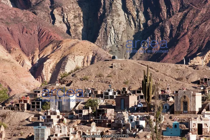 : Argentina, Jujuy, cemetery of the village : Argentina, Jujuy, cemetery of the village