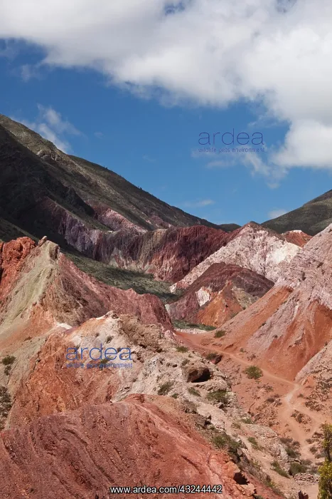 : Argentina, Jujuy Province, Purmamarca. The : Argentina, Jujuy Province, Purmamarca. The