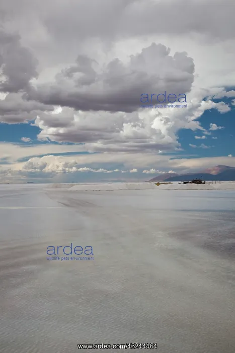 : Argentina, Jujuy Province. Salinas Grande : Argentina, Jujuy Province. Salinas Grande