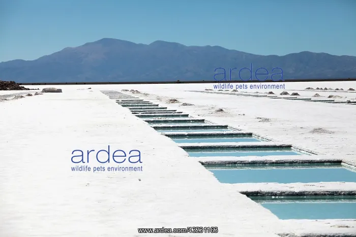 : Argentina, Jujuy, Salinas Grandes, salt : Argentina, Jujuy, Salinas Grandes, salt