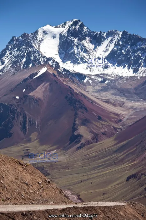 : Argentina, Mendoza Province, Las Cuevas : Argentina, Mendoza Province, Las Cuevas