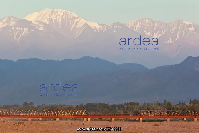 : Argentina, Mendoza Province, Lujan de Cuyo : Argentina, Mendoza Province, Lujan de Cuyo