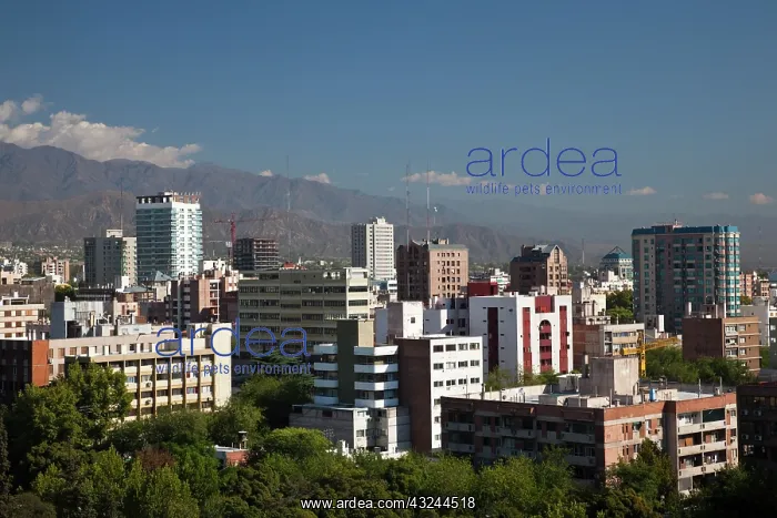 : Argentina, Mendoza Province, Mendoza. City : Argentina, Mendoza Province, Mendoza. City