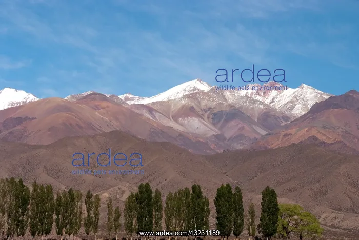 : Argentina, Mendoza, stunning landscape : Argentina, Mendoza, stunning landscape