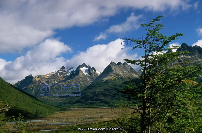 : Argentina - mountain range north-east of Ushuaia : Argentina - mountain range north-east of Ushuaia