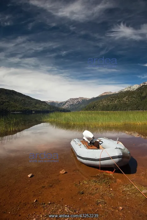 : Argentina, Neuquen Province. Lake Falkner : Argentina, Neuquen Province. Lake Falkner