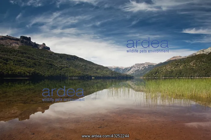 : Argentina, Neuquen Province. Lake Falkner : Argentina, Neuquen Province. Lake Falkner