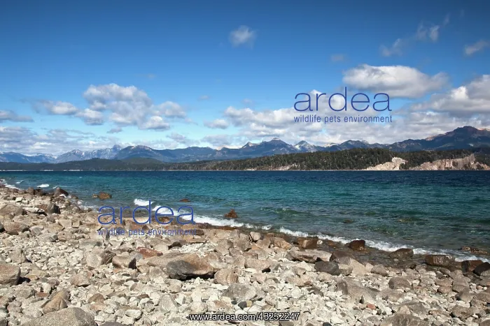 : Argentina, Neuquen Province. North shore : Argentina, Neuquen Province. North shore