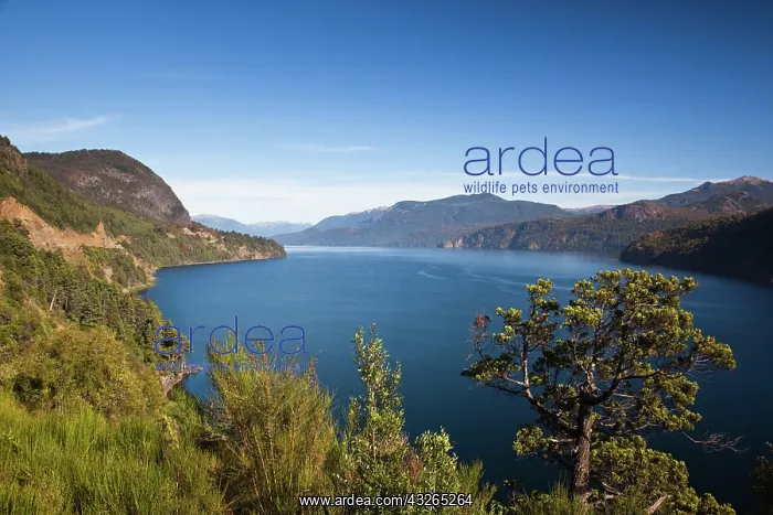 : Argentina, Neuquen Province, San Martin : Argentina, Neuquen Province, San Martin