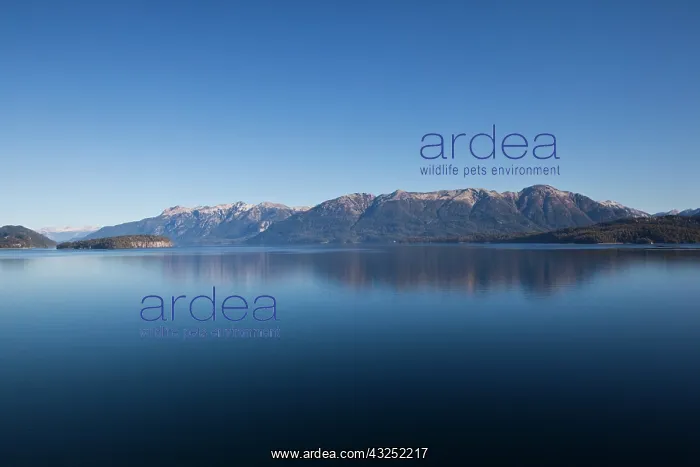 : Argentina, Neuquen Province, Villa la Angostura : Argentina, Neuquen Province, Villa la Angostura