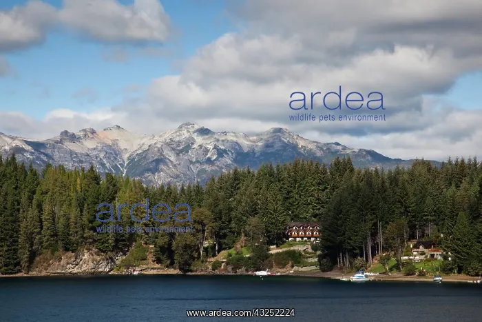 : Argentina, Neuquen Province, Villa La Angostura : Argentina, Neuquen Province, Villa La Angostura