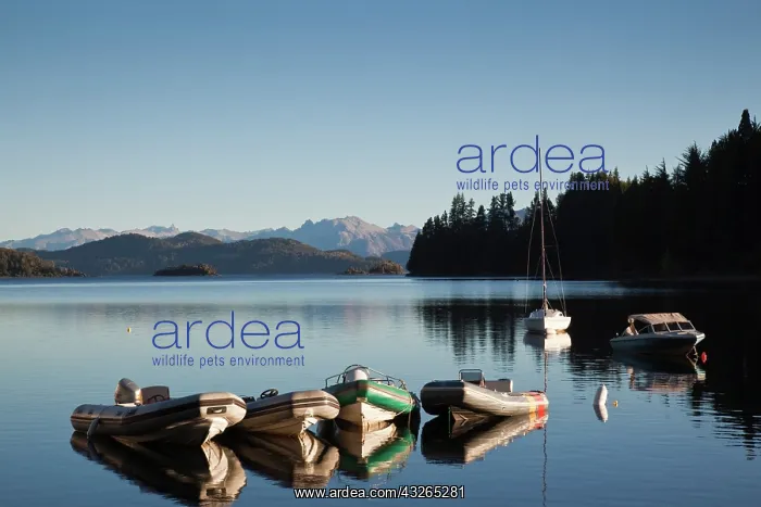 : Argentina, Neuquen Province, Villa La Angostura : Argentina, Neuquen Province, Villa La Angostura