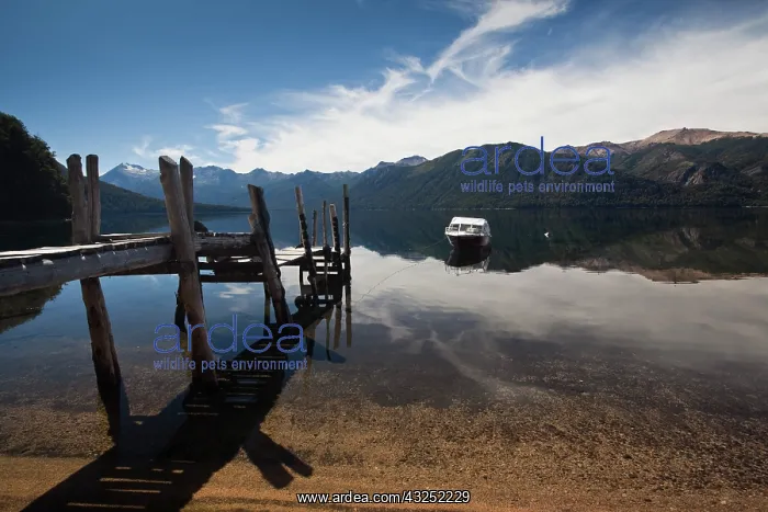 : Argentina, Neuquen Province, Villa Traful : Argentina, Neuquen Province, Villa Traful