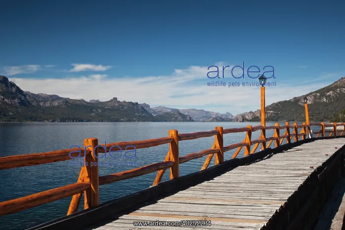 : Argentina, Neuquen Province, Villa Traful : Argentina, Neuquen Province, Villa Traful