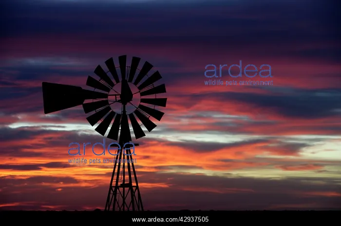 : Argentina, Patagonia, Province Chubut : Argentina, Patagonia, Province Chubut
