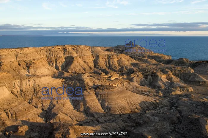 : Argentina, Patagonia: Punta Piramide on the Valdes : Argentina, Patagonia: Punta Piramide on the Valdes