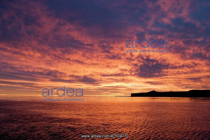 : Argentina - Patagonia. Sunset over Golfo Nuevo : Argentina - Patagonia. Sunset over Golfo Nuevo