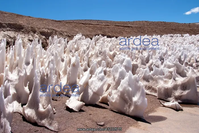 : Argentina, Provinca La Rioja, ice formation : Argentina, Provinca La Rioja, ice formation