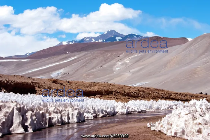 : Argentina, Provinca La Rioja, ice formation : Argentina, Provinca La Rioja, ice formation
